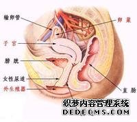 肛门疣病都有哪些症状